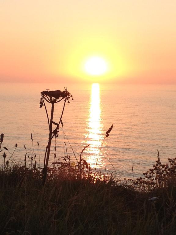 The Whipsiderry Hotel Newquay  Bagian luar foto